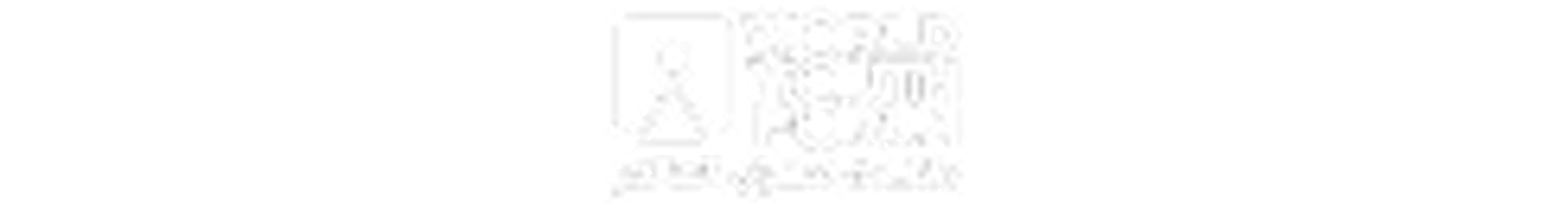 Logo Weltjugendforum 