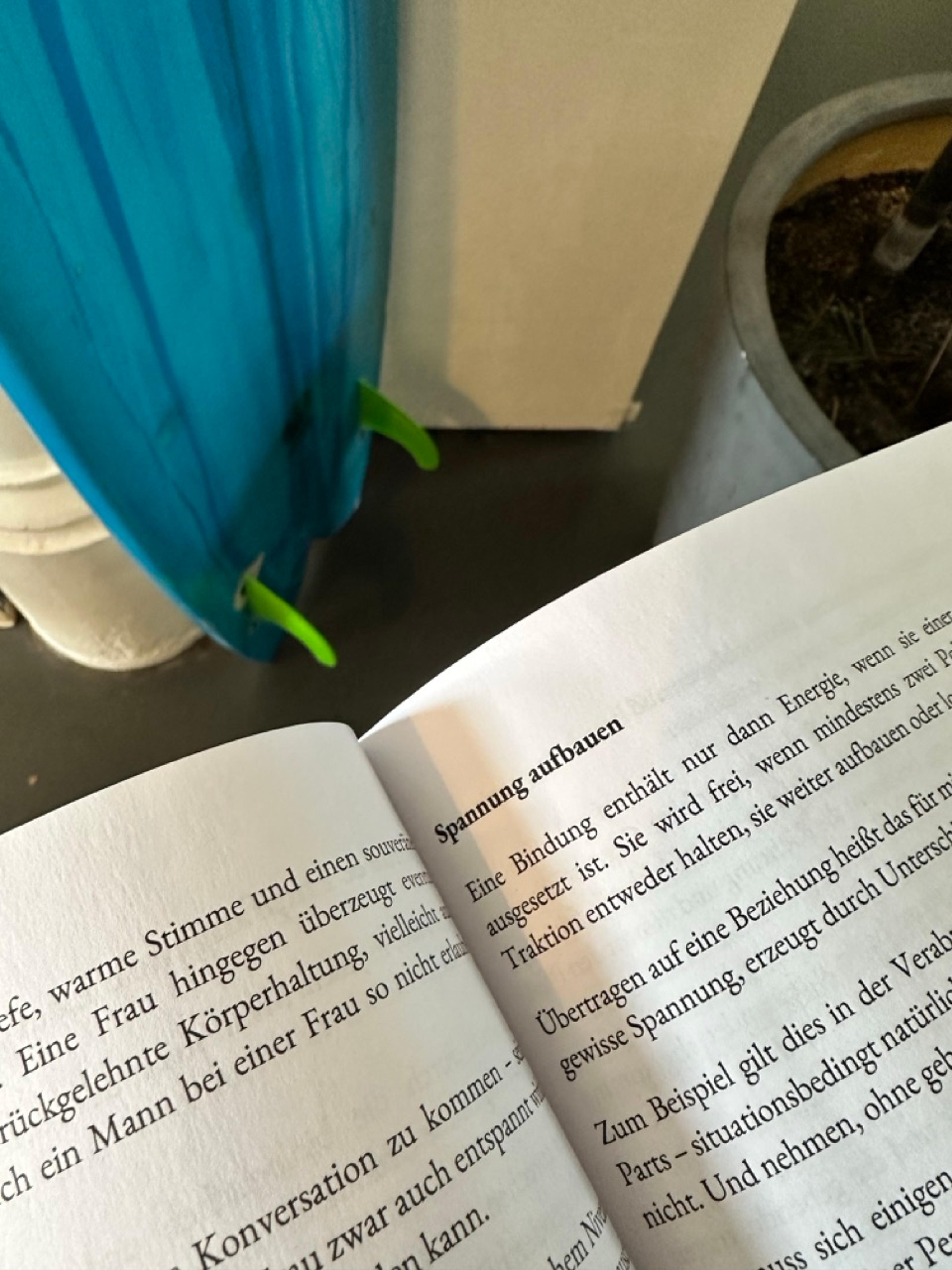 Mein Egonit und ich - Buch von Alex Hauk Autor