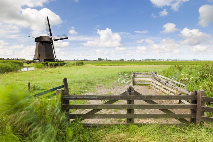 Zomer