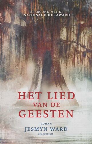 Omslag van Hypnotiserende perspectiefwisselingen