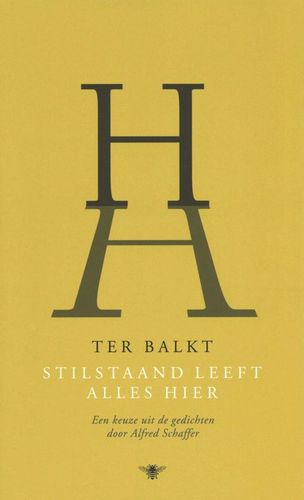 Omslag van H.H. ter Balkt: Stilstaand leeft alles hier