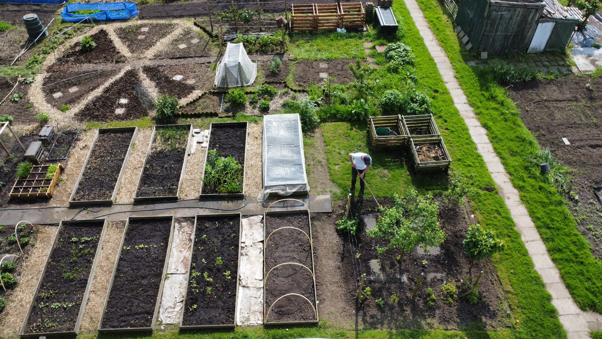 Moestuinieren op tuin 1: Tegenslag