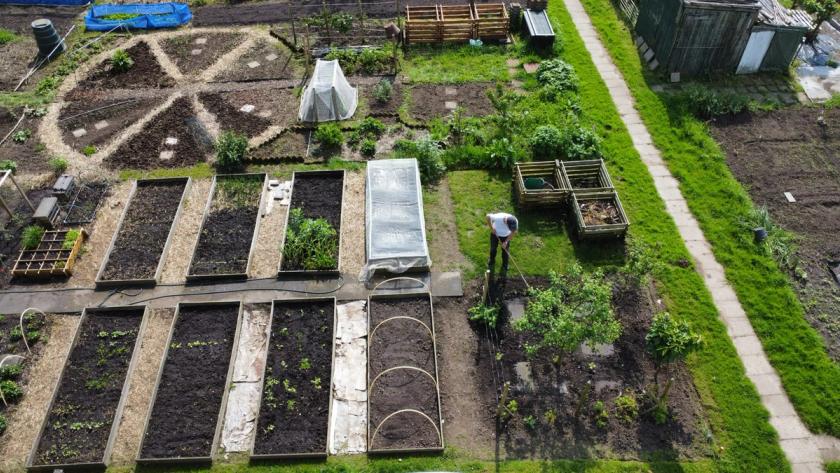 Moestuinieren op tuin 1: Tegenslag