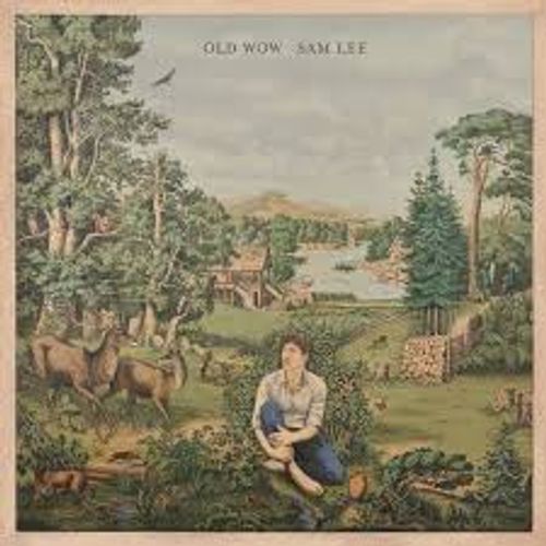 Omslag van Sam Lee: Old Wow