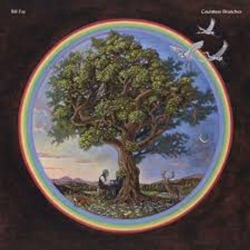 Omslag van Bill Fay: Countless Branches