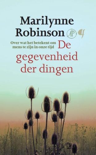 Omslag van Calvinisme als humanisme