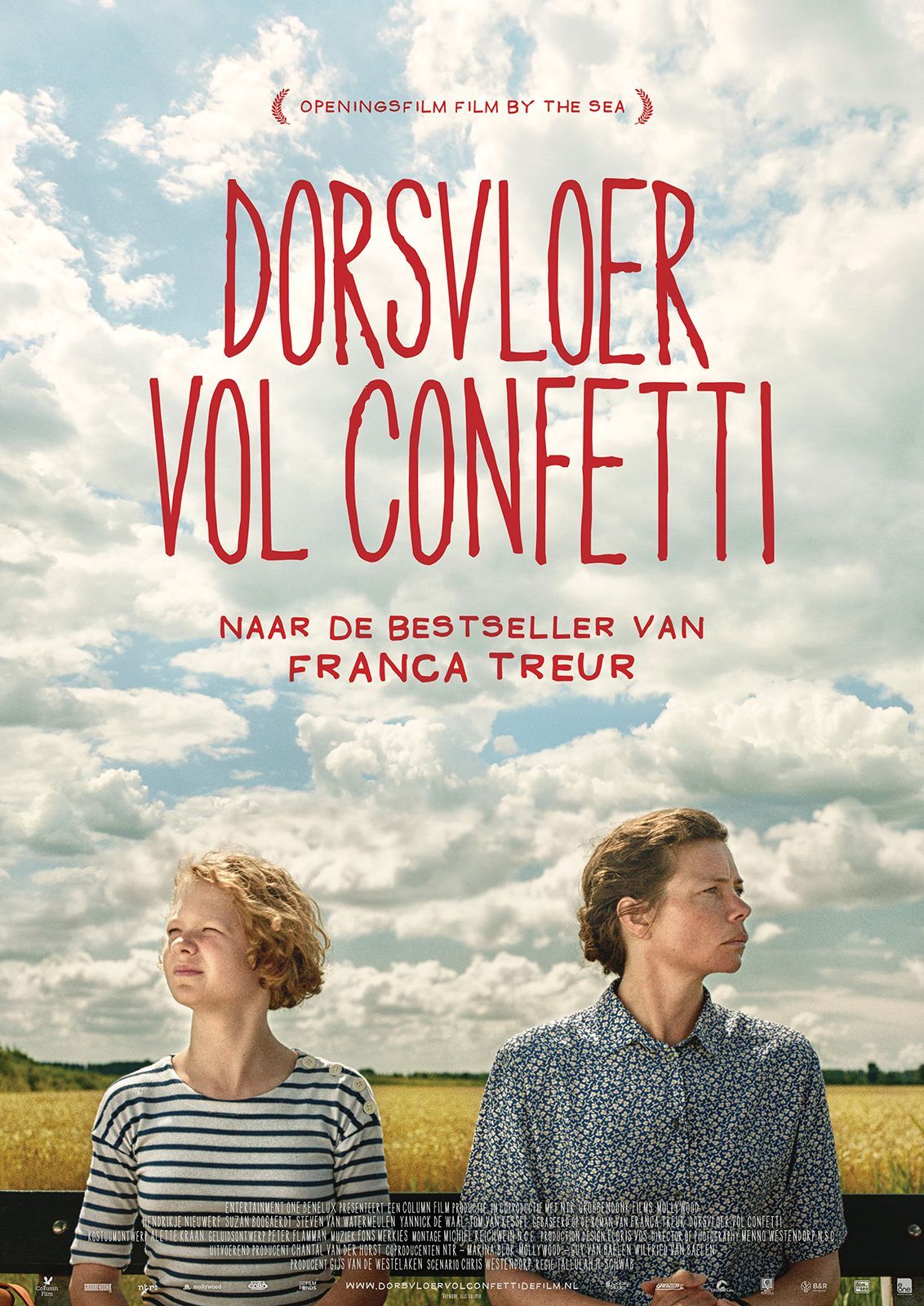 Omslag van Dorsvloer vol confetti