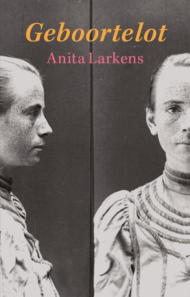Omslag van Anita Larkens: Geboortelot