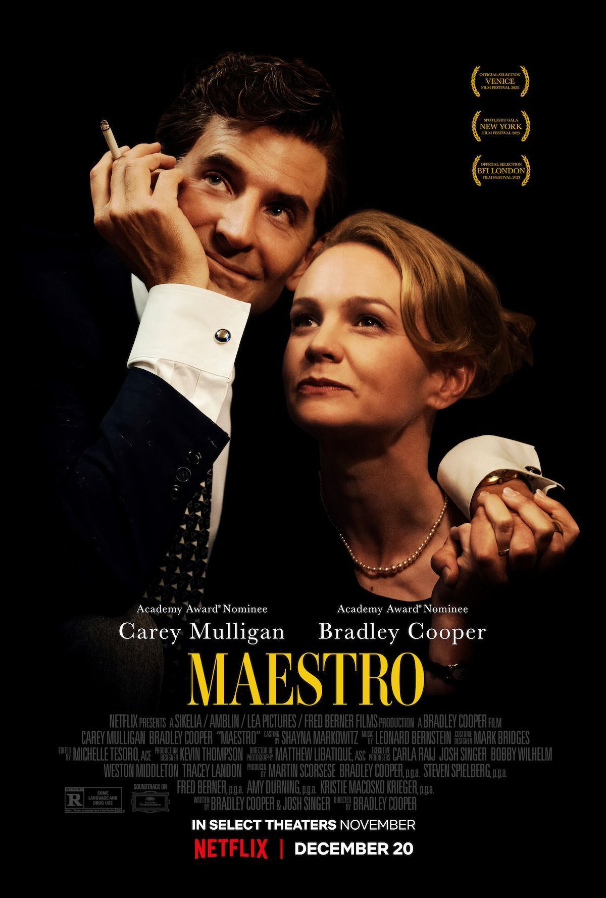 Omslag van Maestro
