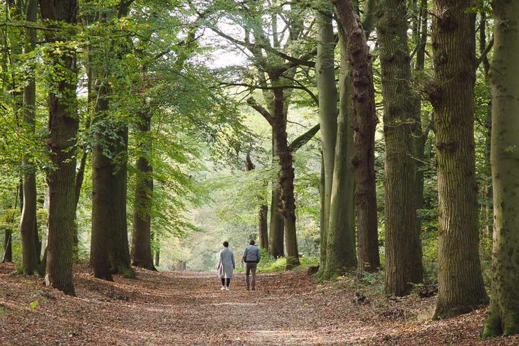 Liefde in tijden van corona (14)