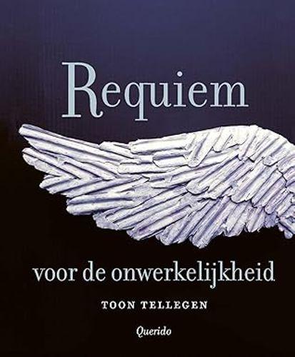 Omslag van Toon Tellegen – Requiem voor de onwerkelijkheid