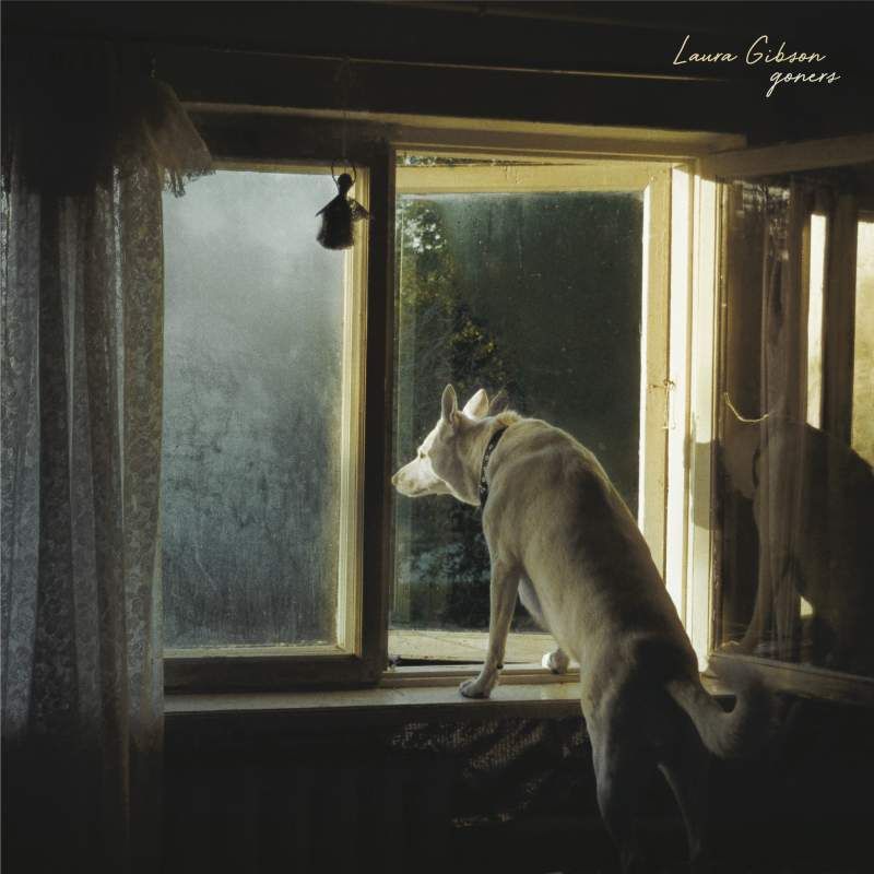 Omslag van Laura Gibson: Goners