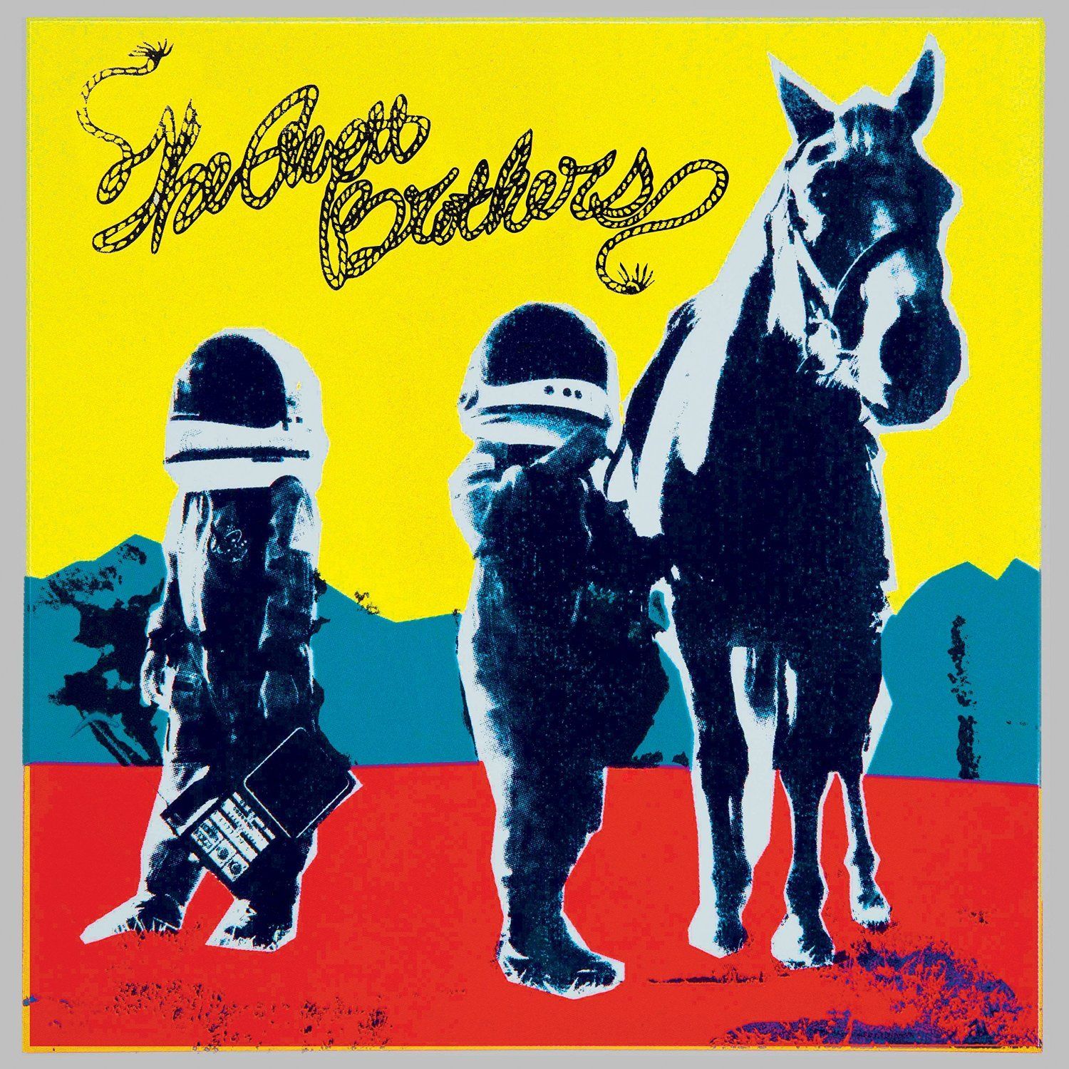Omslag van The Avett Brothers: True Sadness