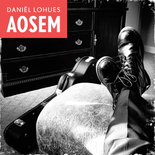 Omslag van Daniël Lohues: Aosem