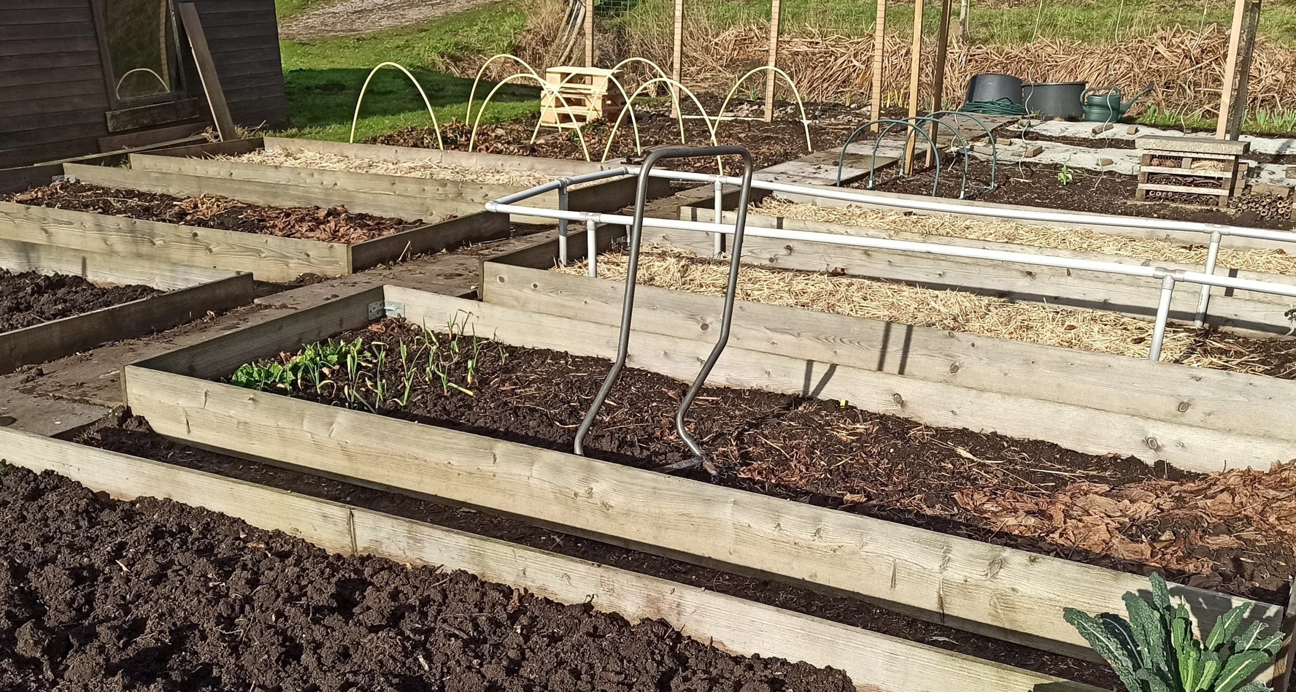 Het tuinseizoen ontwaakt