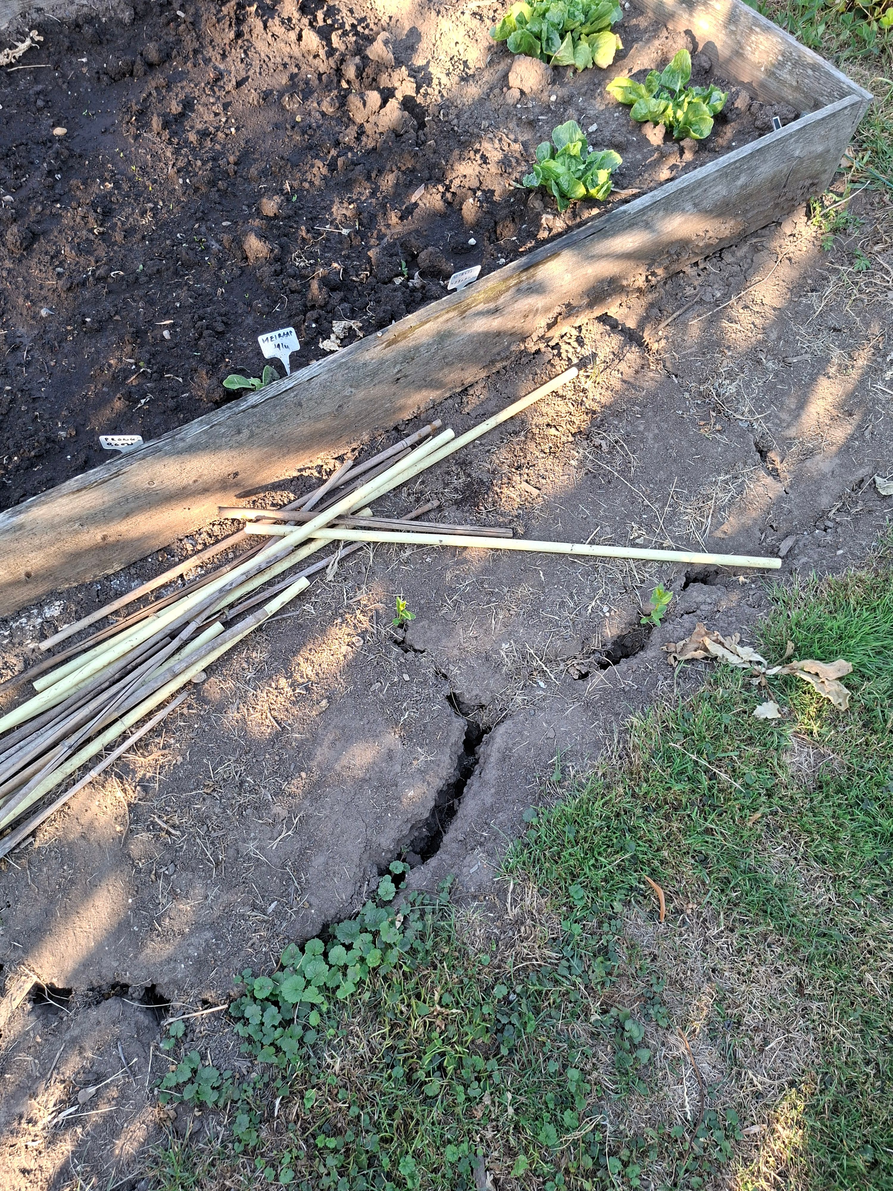 afbeelding van droogtescheuren