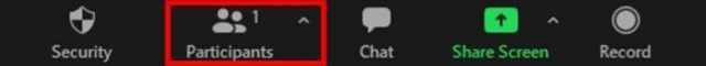 Zoom main menu Participants button