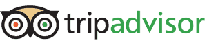 rectangular TripAdvisor logo