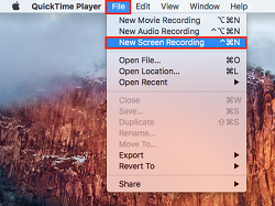 New Screen Recording button