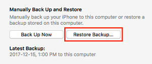 Restore Backup button