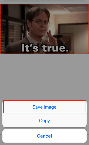 Image Save button