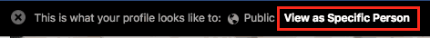 View your profile as a specific person