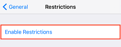 Enable Restrictions button