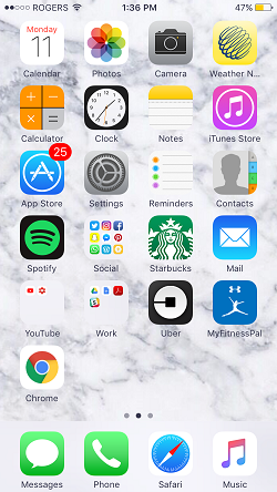 iPhone home screen