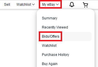 View your list of bids and offers on eBay