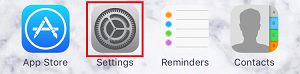 iOS Settings app icon