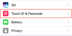 Passcode protection option