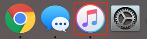 iTunes icon