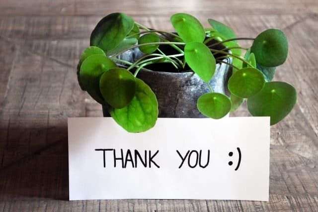A thank you note with a potted plant, possibly a gift