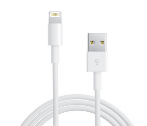 iPhone cord