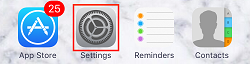 iPhone Settings icon