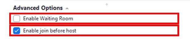 Zoom advanced options necessary settings