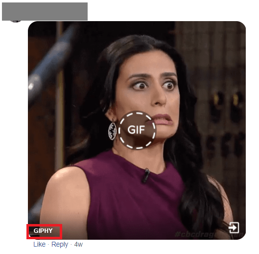 Go to the source website of the GIF