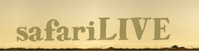 SafariLIVE banner