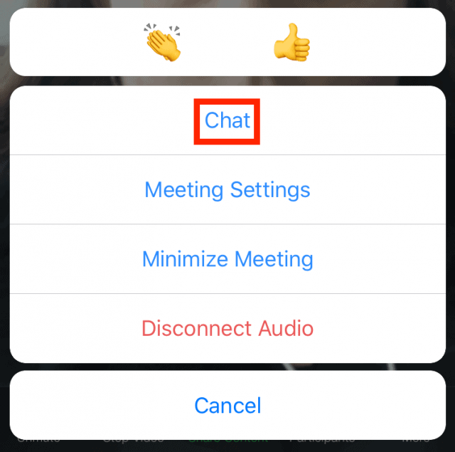 Additional meeting options menu in iOS