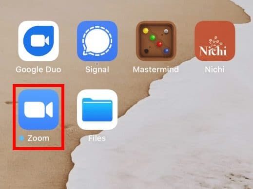 iOS home screen with Zoom app icon