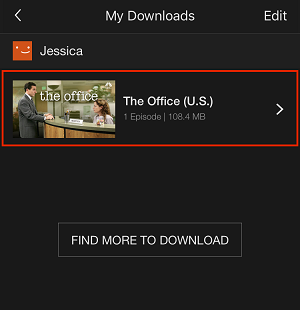 Watch downloaded Netflix show
