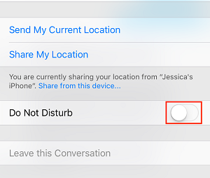 Do not Disturb toggle