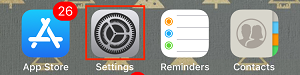 iPhone Settings icon