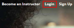 The Udemy log in button
