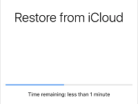 Load backup data