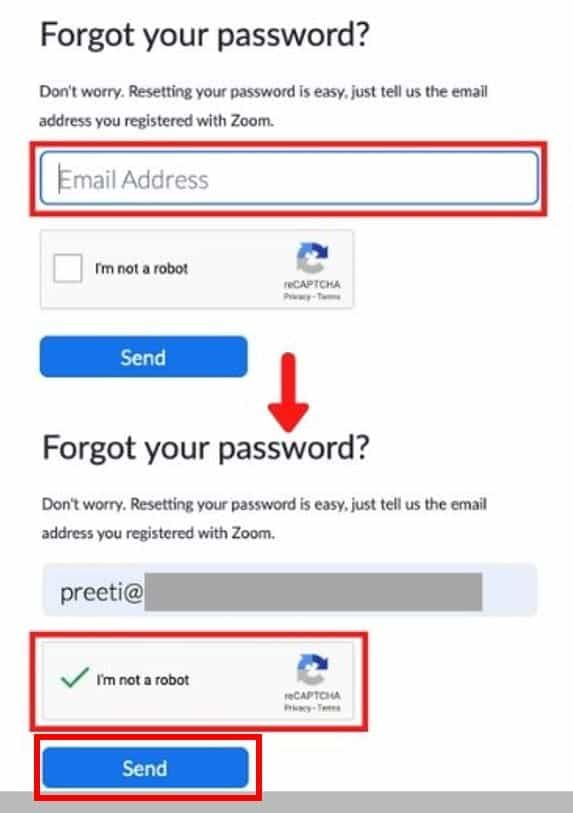 Zoom Forgot Your Password page, email address box highlighted