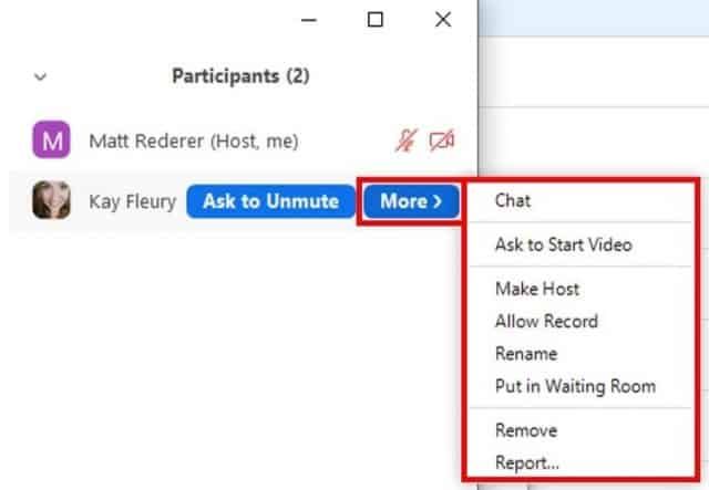 Participant window with individual participant options