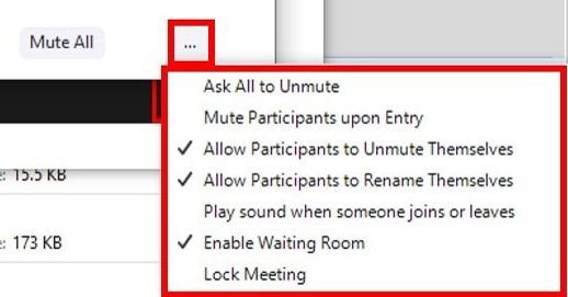 Participants window with more options