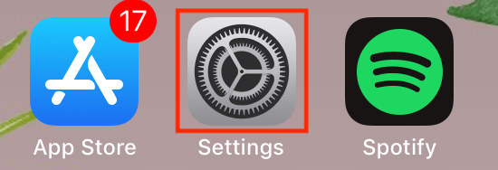 Accessing your iOS device settings