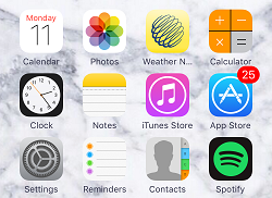 iPhone home screen